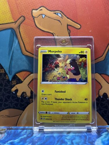 Morpeko Holo Black Star Promo SWSH116, NM Pokemon Card