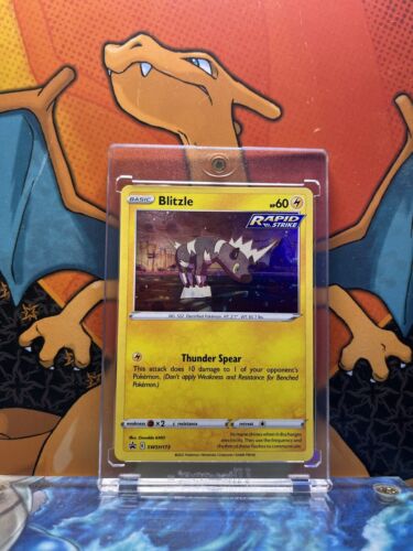 Blitzle Holo Black Star Promo SWSH173, NM Pokemon Card