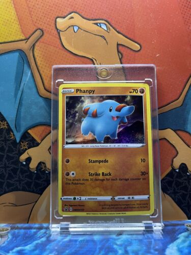 Phanpy Holo Black Star Promo SWSH117, NM Pokemon Card