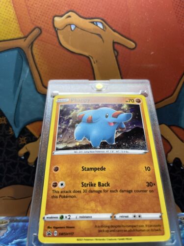 Phanpy Holo Black Star Promo SWSH117, NM Pokemon Card