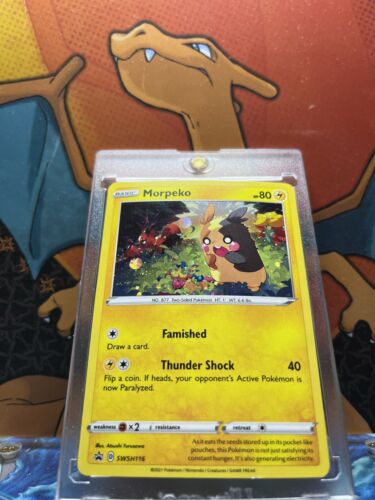 Morpeko Holo Black Star Promo SWSH116, NM Pokemon Card