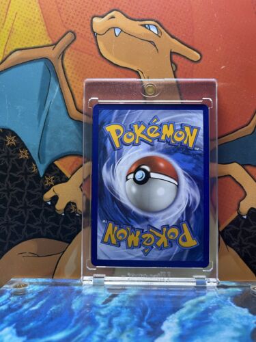 Morpeko Holo Black Star Promo SWSH012, NM Pokemon Card