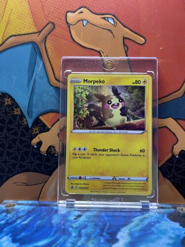 Morpeko Holo Black Star Promo SWSH012, NM Pokemon Card