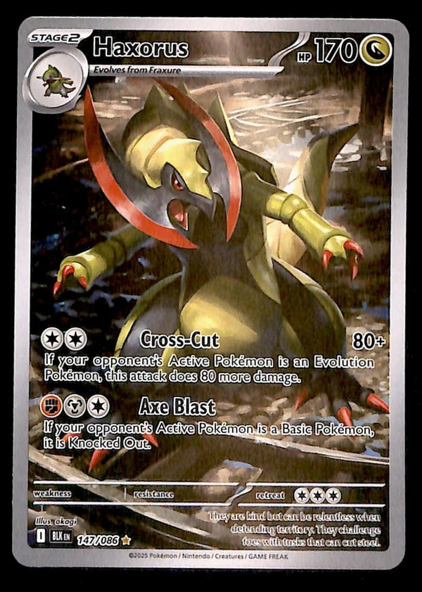 Haxorus Illustration Rare Black Bolt 147/086, NM Pokemon Card