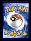 Poochyena Galarian Gallery Crown Zenith GG33/GG70, NM Pokemon Card