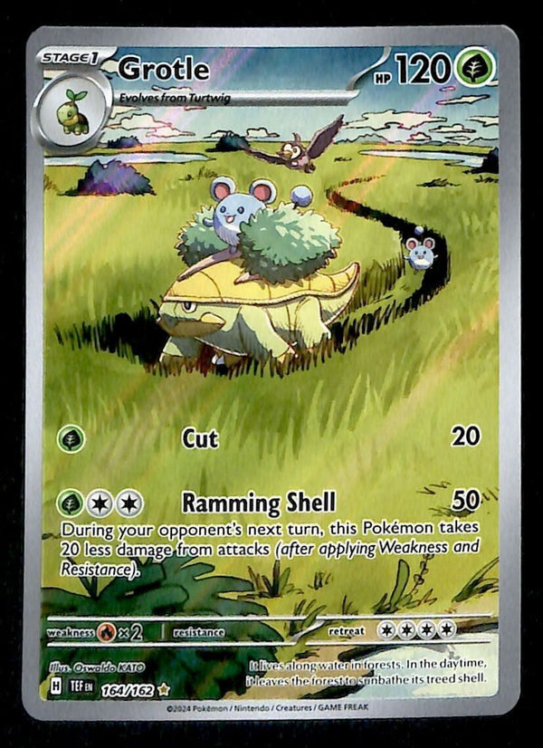 Grotle Illustration Rare Temporal Forces 164/162, NM Pokemon Card Grotle Illustration Rare Temporal Forces 164/162, NM Pokemon Card