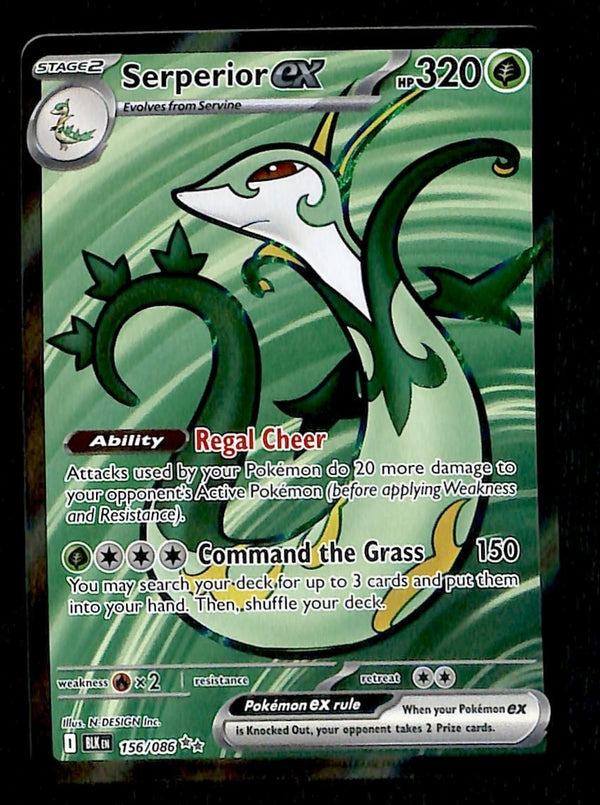 Serperior ex Full Art Black Bolt 156/086, NM Pokemon Card