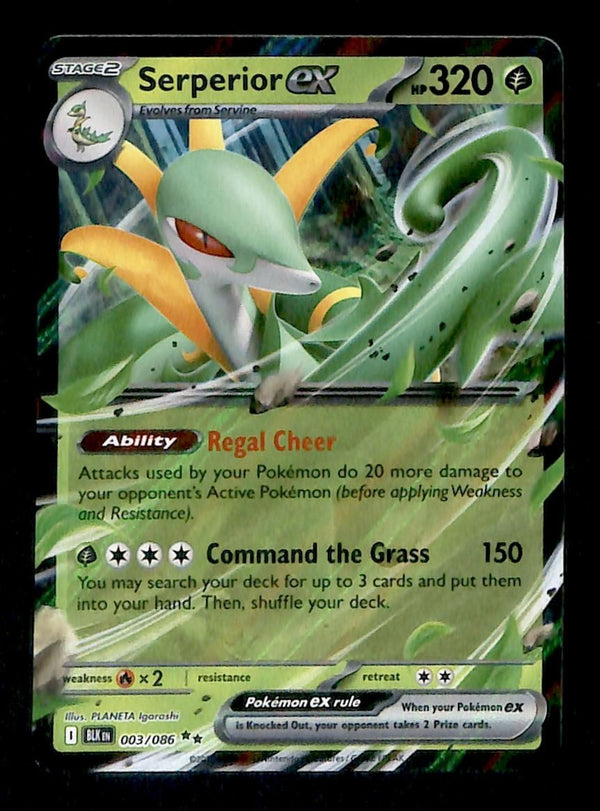 Serperior ex Black Bolt 003/086, NM Pokemon Card