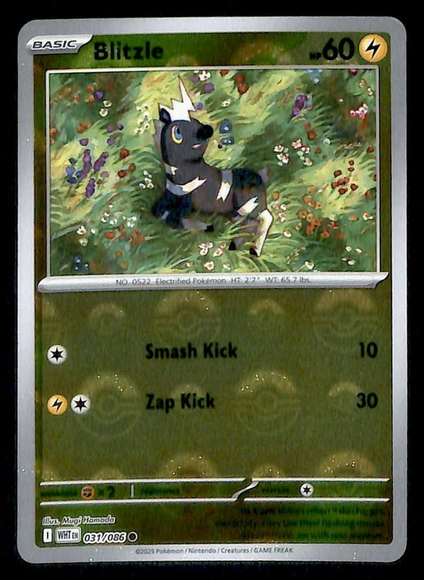 Blitzle Pokeball White Flare 031/086, NM Pokemon Card