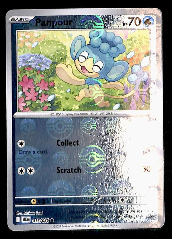 Panpour Pokeball Reverse Holo Black Bolt 017/086, NM Pokemon Card