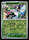 Scarlet & Violet Commons/Uncommon's
