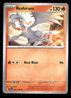 Stellar Crown Commons/Uncommon's