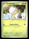 Scarlet & Violet Commons/Uncommon's