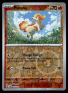 Temporal Forces Commons/Uncommon's