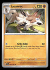 Temporal Forces Commons/Uncommon's