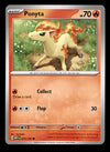 151 Commons/Uncommon's