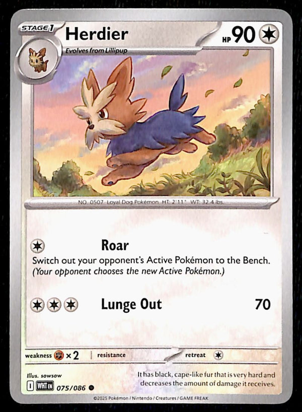 White Flare Commons and Uncommons